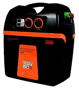B100