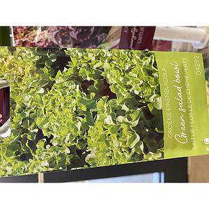 SLA GROENE EIKENBLAD