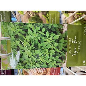 BASILICUM FIJNE