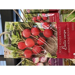 RADIJS RODE RONDE BELLE CERISE