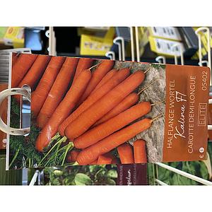 WORTELEN HALFLANGE KALINA F1