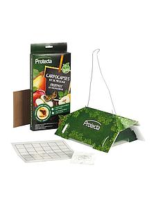 CARPO TRAP P (PITVRUCHTEN)