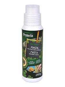 PHYTOPAST G  250gr 