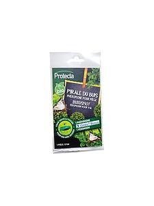 PYRAL TRAP NAVULLING ERNSTIGE AANTASTING GINKO BUXUS (12 MAANDEN)