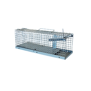 Kantelval voor Ratten