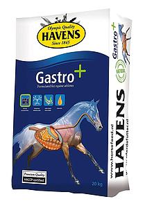 Gastro + Havens 20 kg