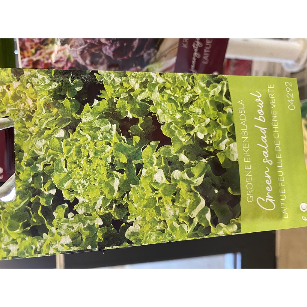 SLA GROENE EIKENBLAD