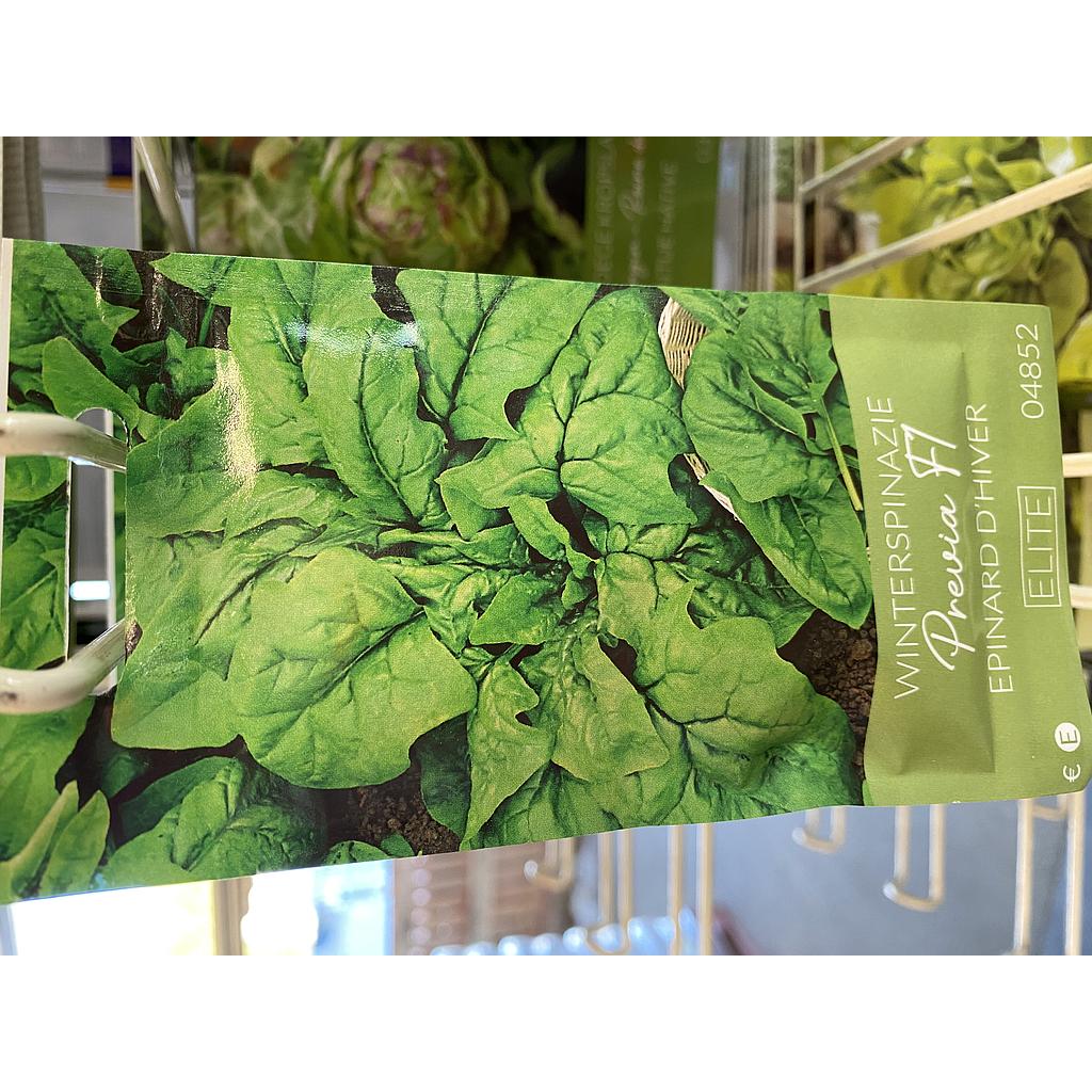 SPINAZIE WINTER PREVIA F1