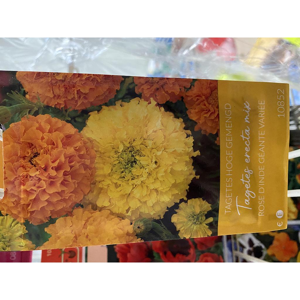 AFRIKAATJES HOOG GEMENGD ERECTA MIX