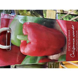 PAPRIKA ZOETE CALIFORNIA WONDER