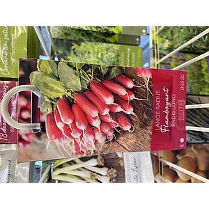 RADIJS  FLAMBOYANT 3 VIDAN