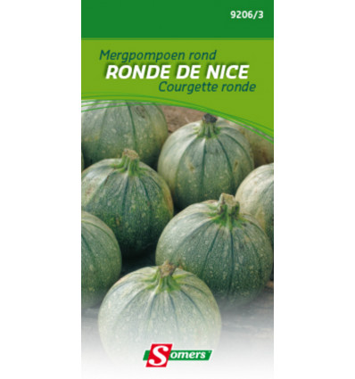 COURGETTE RONDE DE NICE - SG