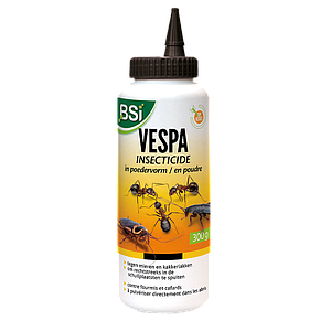 Vespa Insecticide 300g BE/LU
