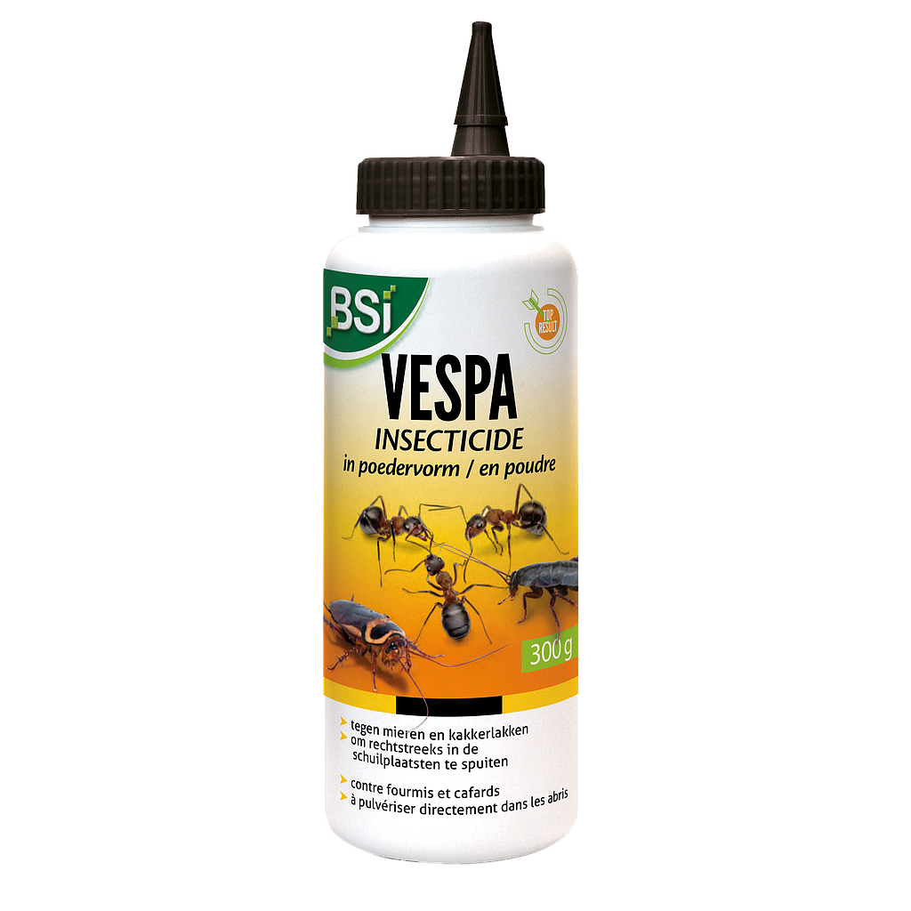 Vespa Insecticide 300g BE/LU