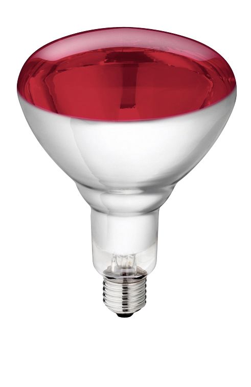 Lamp van gehard glas "Philips" 150W 240V, rood