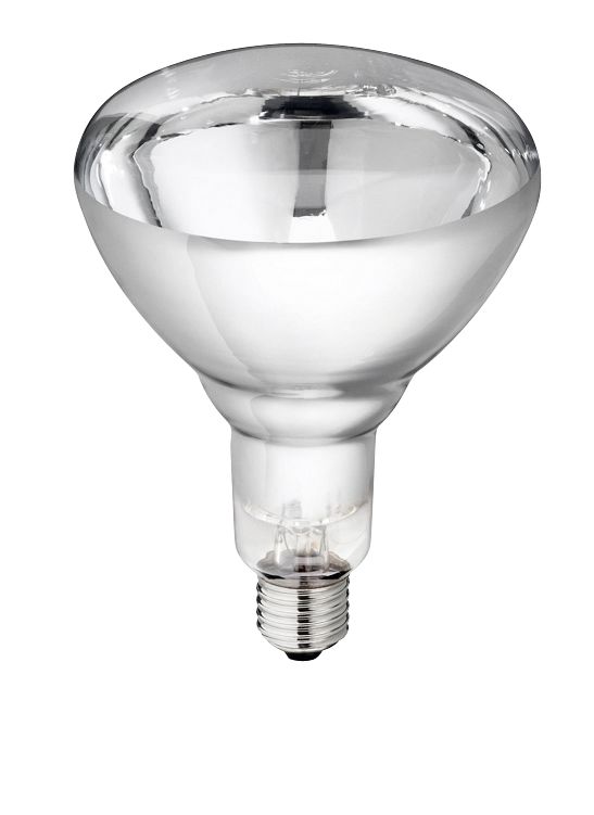 Lamp van gehard glas "Philips" 240V, helder