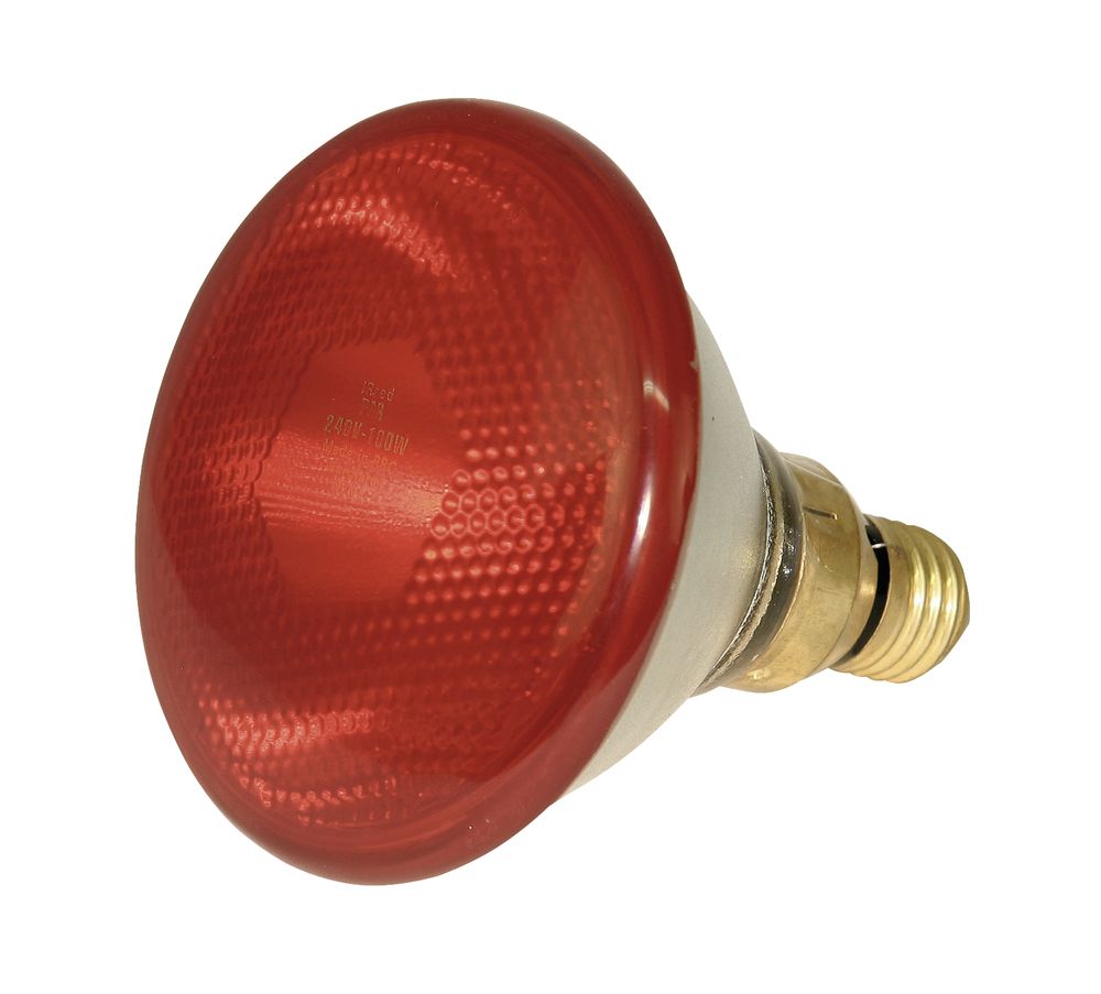 Spaarlamp PAR38 175W rood 