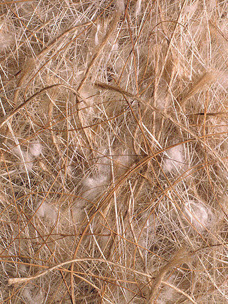 KOKOS-SISAL- JUTE - KATOEN 1KG