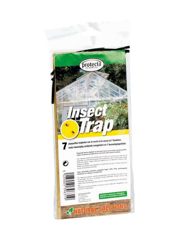 INSECTS-TRAP YELLOW